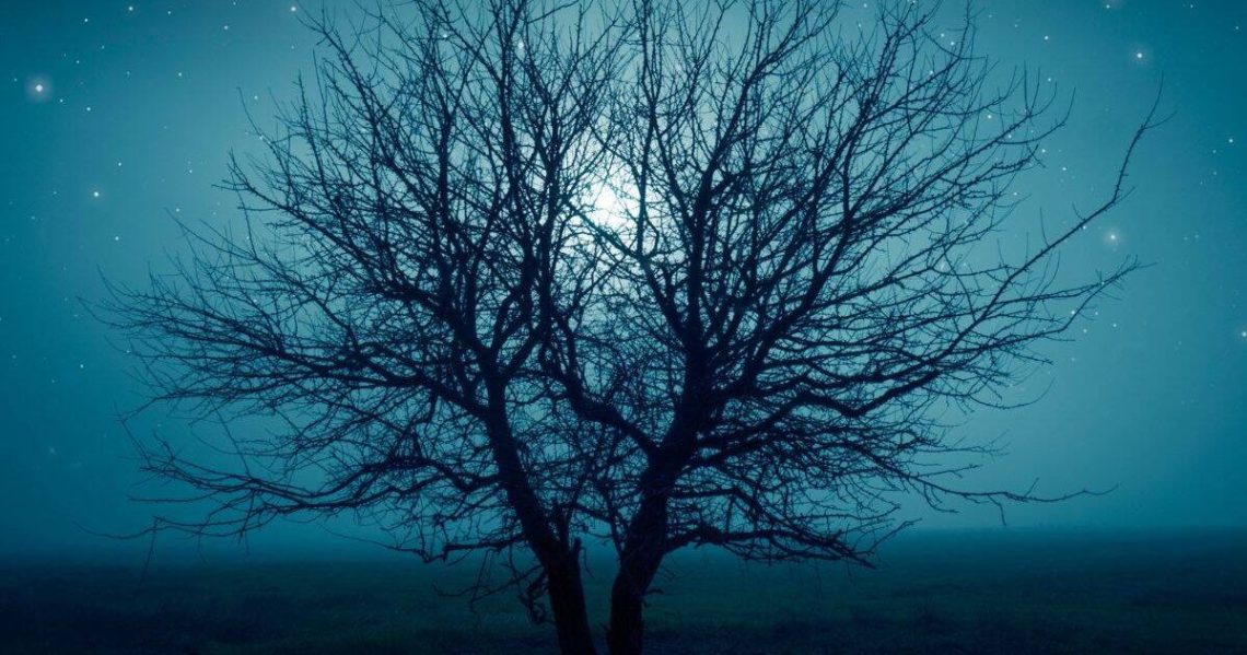 Hello, spooky season: Ghost tours, escape rooms and haunted hotels await