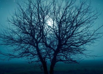 Hello, spooky season: Ghost tours, escape rooms and haunted hotels await