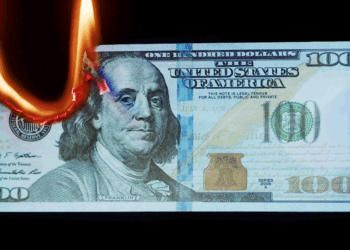 How Bad Is Finance’s Cockroach Problem? We May Be About to Find Out.