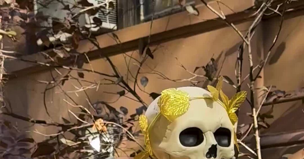 How One Neighborhood Engineers the Ultimate Halloween Spectacle