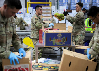 How States Are Preparing for a Freeze in Federal Food Assistance