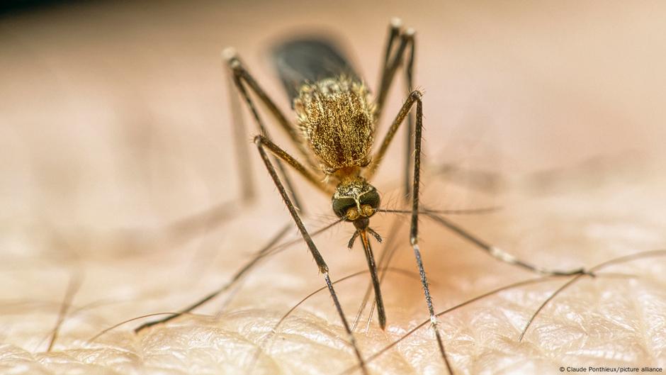 How climate change is making us sick