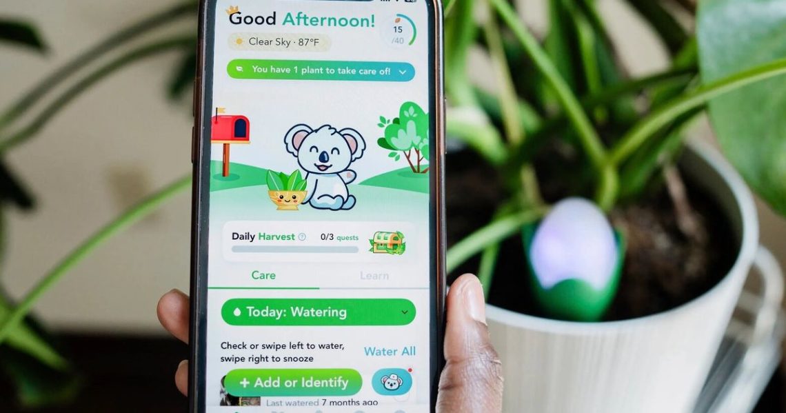 How to use tech in the garden and still keep your serenity