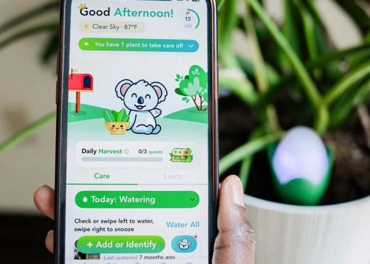 How to use tech in the garden and still keep your serenity
