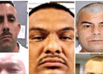 ICE Agents Arrest Convicted Killers, Sex Offenders, Robbers Across U.S.