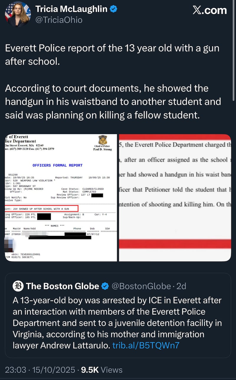 Tricia McLaughlin's post, containing a police report which legal experts say is likely to have breached state and federal law, as well as her own DHS guidelines.
