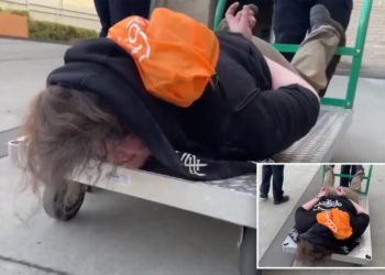 ICE posts viral video of cuffed Portland protester being wheeled away on flatbed cart