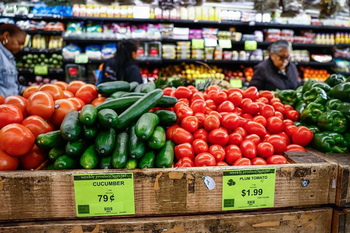 Illegal alien steals from SNAP program in massive fraud scheme