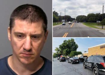 Illegal immigrant allegedly causes fatal semi-truck crash on highway, killing driver: officials