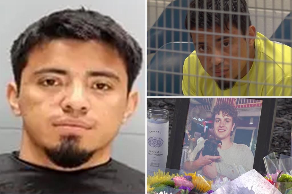 Illegal immigrant quietly handed slap-on-the-wrist sentence for hit-and-run that killed University of South Carolina student