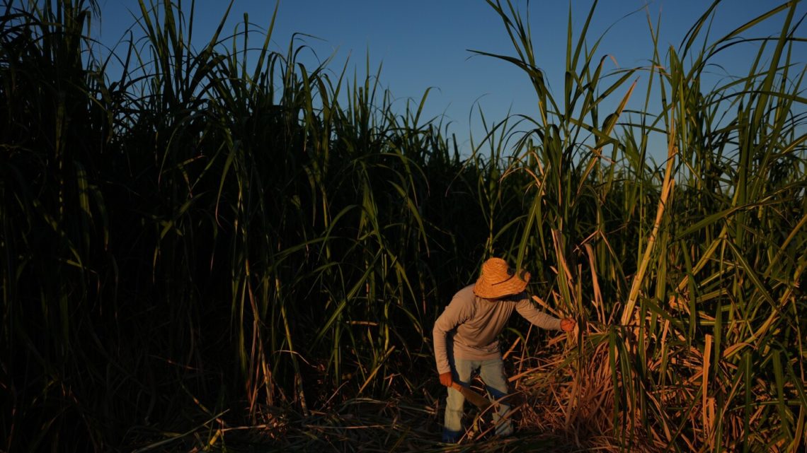 In a California farming region, researchers are mapping rural heat to protect farmworkers