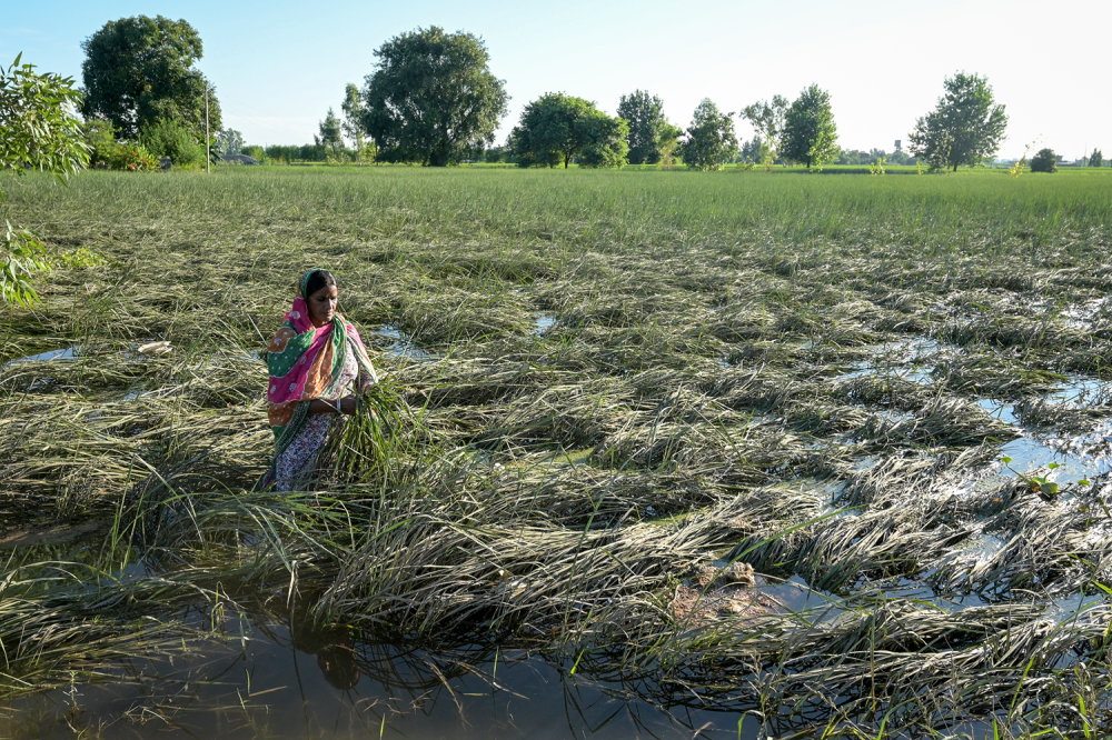 Indian Farmers Struggle as Climate Change Warps Landscape