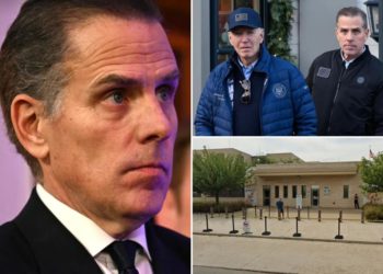 Inside the Hunter Biden-linked proposal to sell off land around the US Embassy in Romania