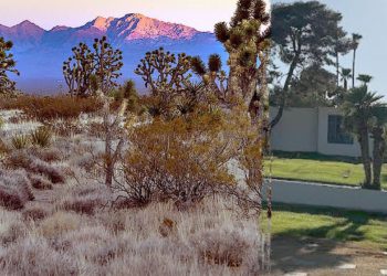 Investigation continues after hundreds of cremated human remains discovered, recovered from Nevada desert