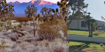 Investigation continues after hundreds of cremated human remains discovered, recovered from Nevada desert