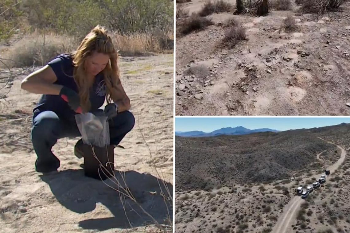 Investigators stumped after hundreds of cremated human remains discovered in Nevada desert