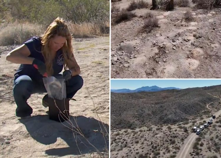 Investigators stumped after hundreds of cremated human remains discovered in Nevada desert