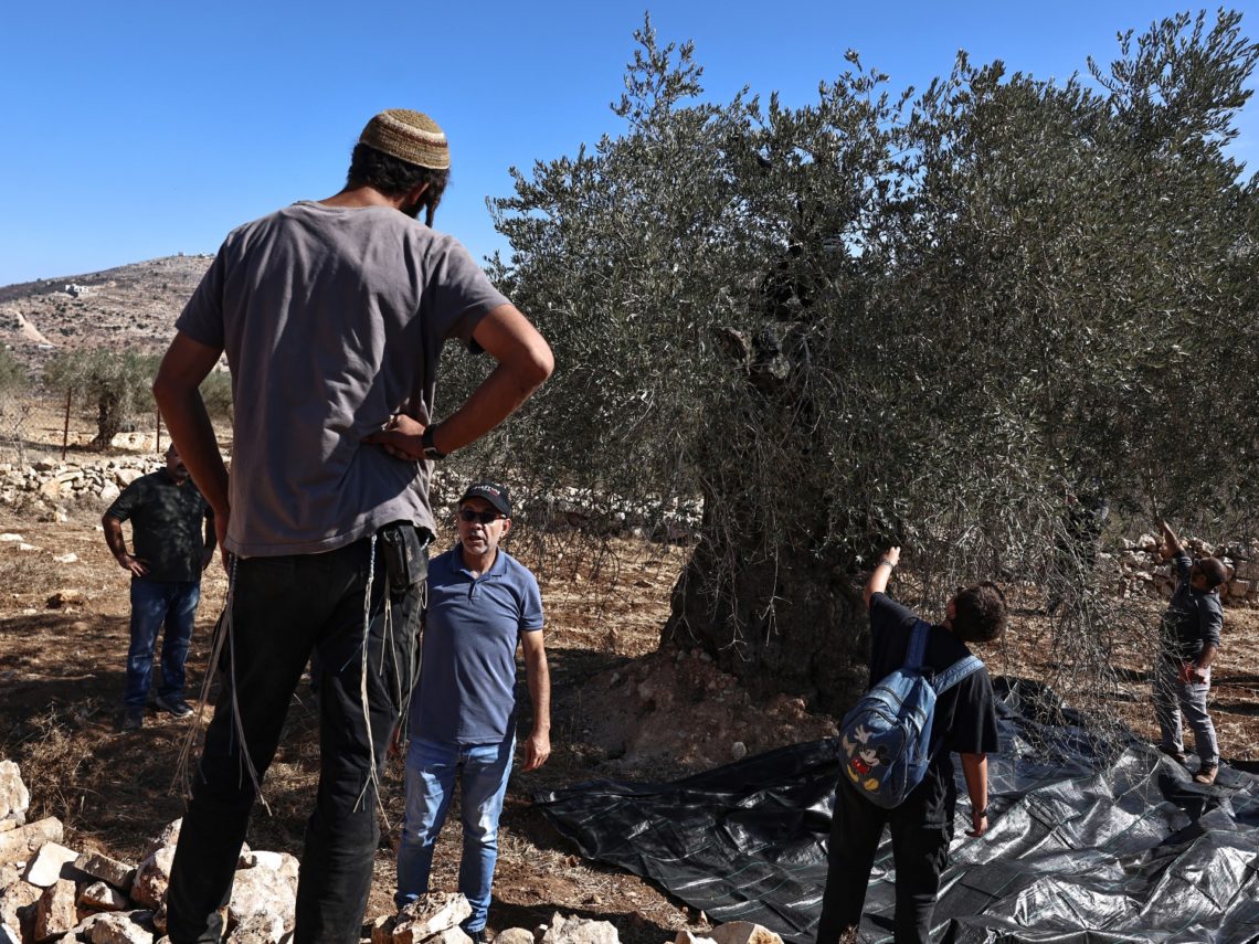 Israeli army, settlers target Palestinian olive harvesters in West Bank