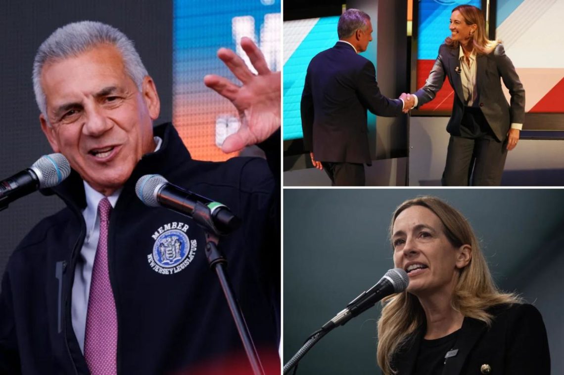 Jack Ciattarelli cleared to sue Mikie Sherrill for defamation over opioid epidemic remark
