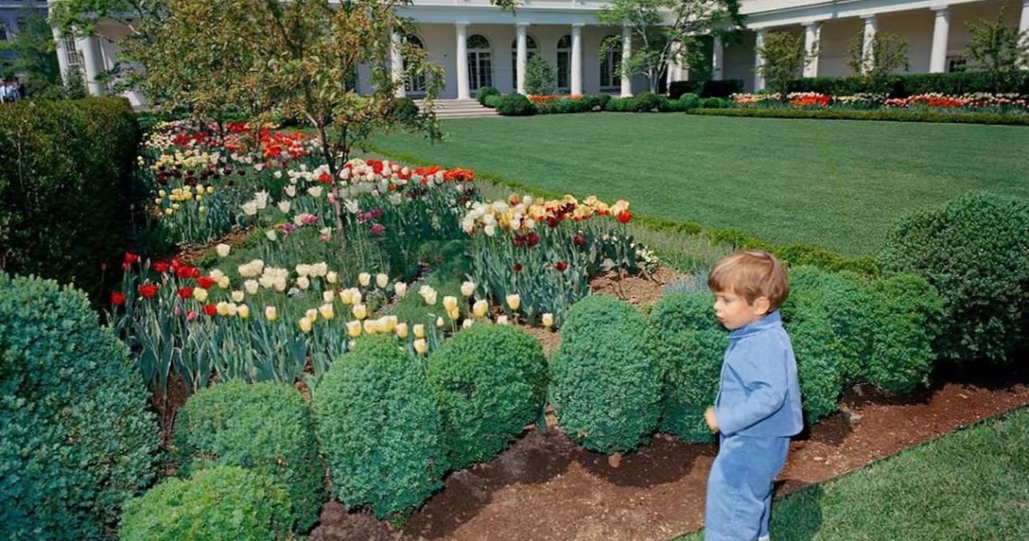 Jackie Kennedy’s Grandson Slams Trump for ‘Pouring Concrete’ Where She ‘Planted Flowers’