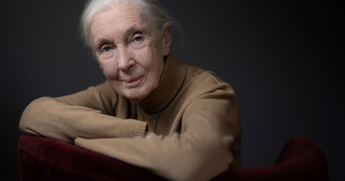 Jane Goodall, who transformed understanding of humankind by studying chimpanzees, dies at 91