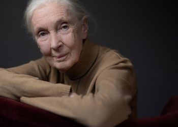 Jane Goodall, who transformed understanding of humankind by studying chimpanzees, dies at 91