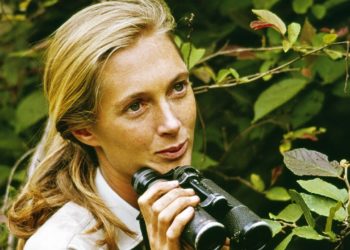 Jane Goodall’s cause of death revealed weeks after beloved primatologist dies at 91