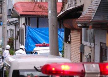 Japan governor calls for army to tackle deadly bear attacks