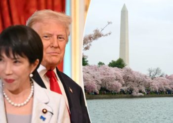 Japan’s new PM donates 250 cherry trees, fireworks for Trump’s DC refresh after watching World Series with prez