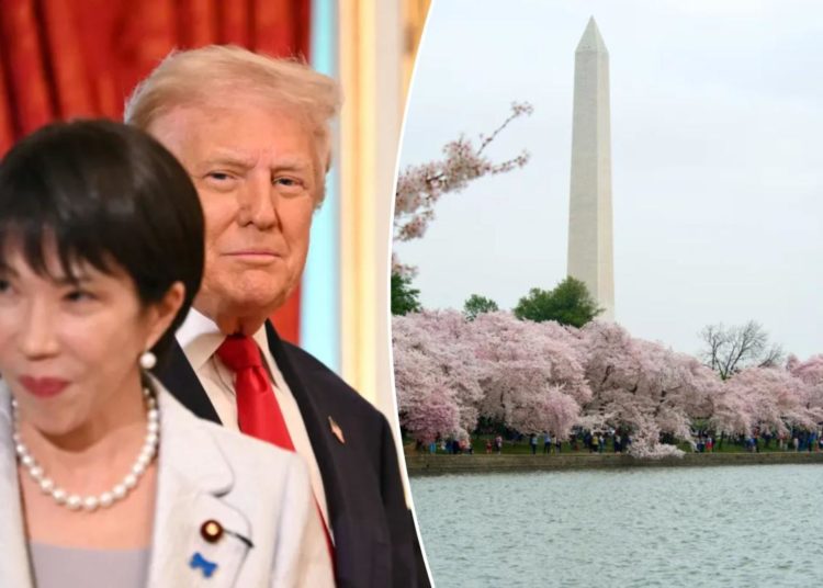 Japan’s new PM donates 250 cherry trees, fireworks for Trump’s DC refresh after watching World Series with prez
