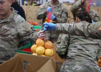 Judges order USDA to restart SNAP funding, but hungry families won’t get immediate relief