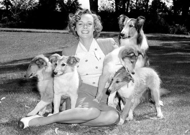 June Lockhart, Beloved Television Mother, Dies at 100