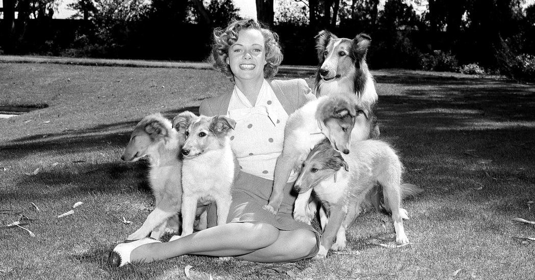 June Lockhart, Beloved Television Mother, Dies at 100