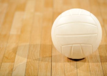 LIST: North Alabama teams that made the AHSAA State Tournament