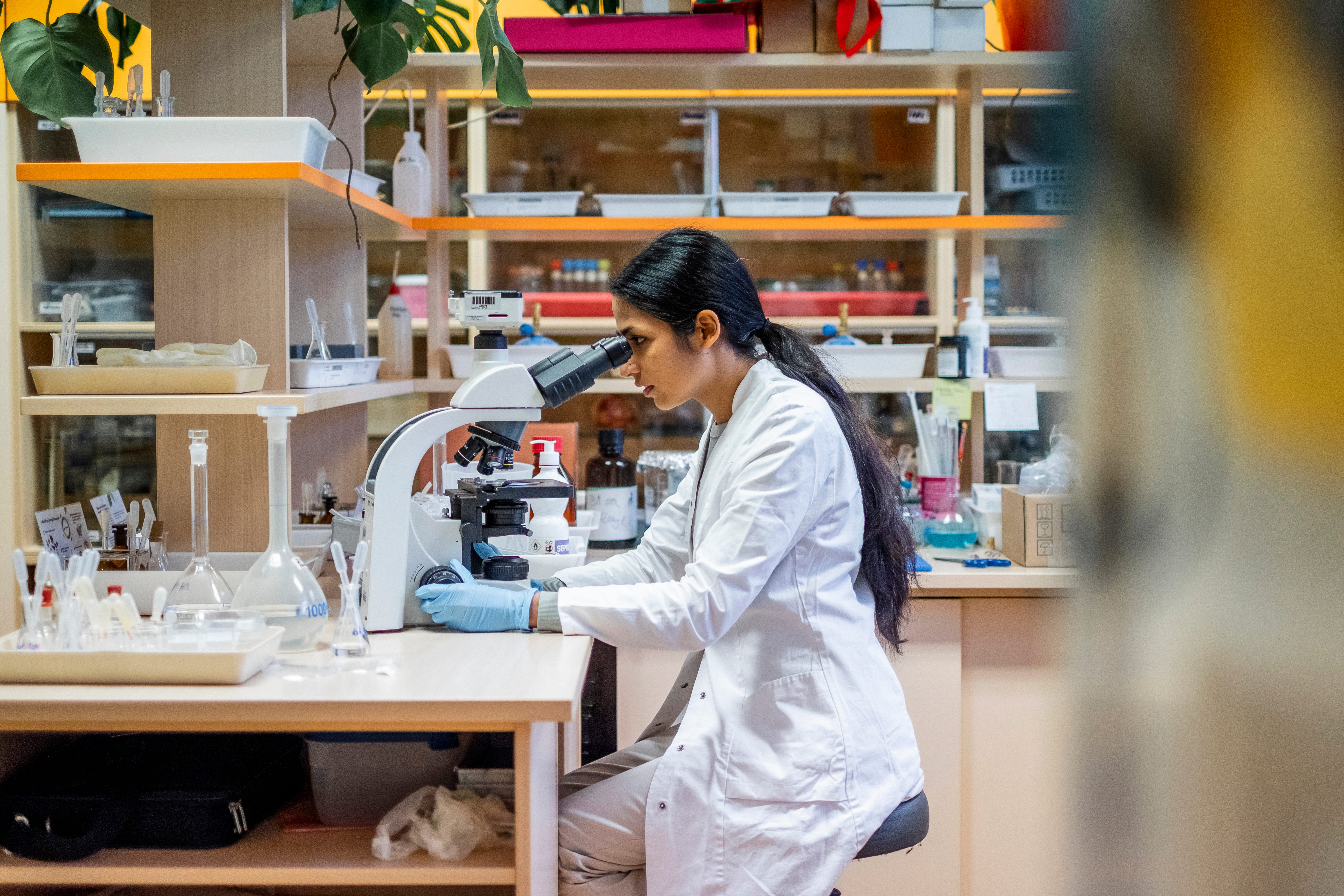 A woman in a white coat looking through a microscope in a lab.