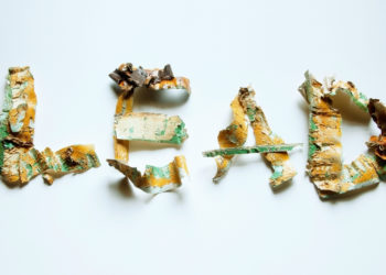 Lead Poisoning May Have Helped Create Modern Humans