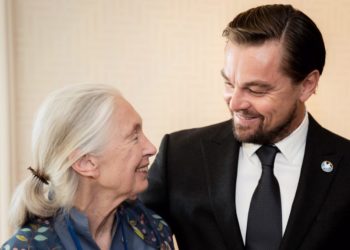 Leonardo DiCaprio Pays Tribute To “Dear Friend” Jane Goodall, Reveals His Last Words To Her: “We All Must Carry The Torch”
