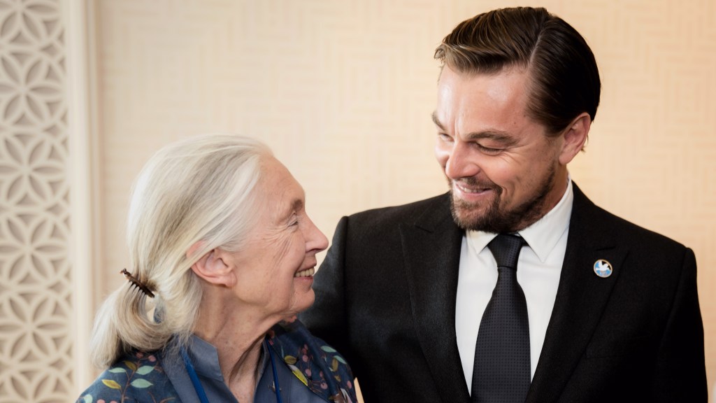 Leonardo DiCaprio Pays Tribute To “Dear Friend” Jane Goodall, Reveals His Last Words To Her: “We All Must Carry The Torch”