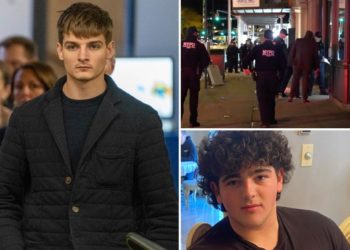 Long Island man, 21, charged with killing teen outside NYC bar walks free after admitting it