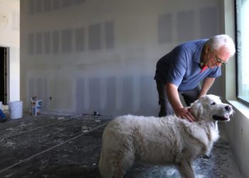 Lopez: He might be the first one to rebuild a house in Altadena, and he credits his golden retriever