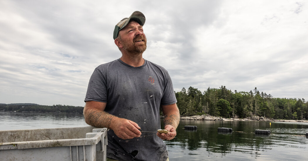 Maine U.S. Senate Candidate Apologizes for Tattoo With Nazi Links