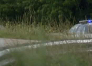 Man Struck and Killed on Virginia Highway While Fleeing ICE