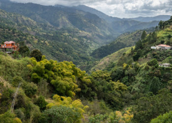 Melissa’s Powerful Winds Could Be Even Worse in Jamaica’s Mountains