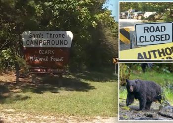 Missouri man mauled to death at Arkansas campsite after texting family photos of bear