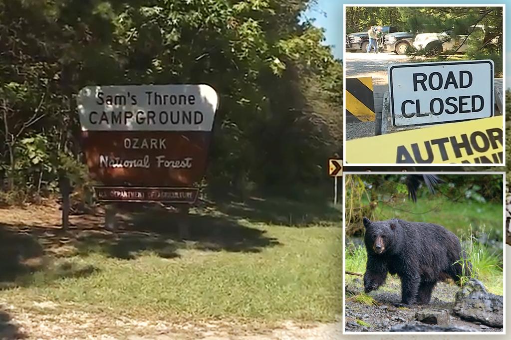 Missouri man mauled to death at Arkansas campsite after texting family photos of bear