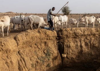 Money to Help Nations Cope With Climate Disasters Is Declining, U.N. Says