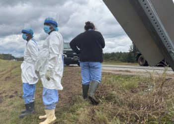 Monkey escape in Mississippi gives a glimpse into the secretive world of animal research