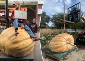 Montana man smashes state record for heaviest pumpkin with massive 1,591-pound gourd