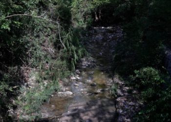 Multiple bodies found in Austin waters following severe weather