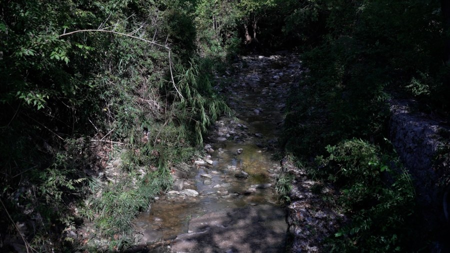 Multiple bodies found in Austin waters following severe weather